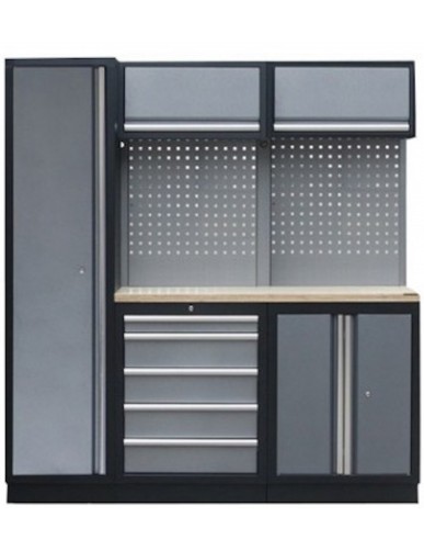 PROFESSIONAL GARAGE SERIES W/2 BACKING PANEL AND TALL CABINET